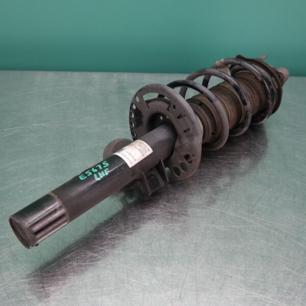 LEFT FRONT STRUT G01 (787) *31-10*