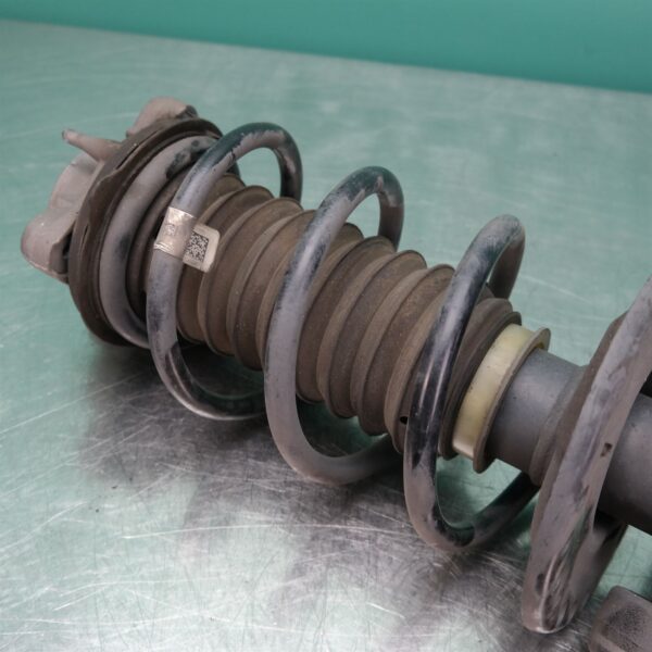 LEFT FRONT STRUT G01 (787) *31-10*