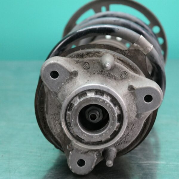 LEFT FRONT STRUT G01 (787) *31-10*