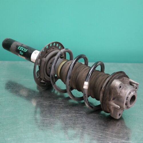 RIGHT FRONT STRUT G01 (788) *31-10*