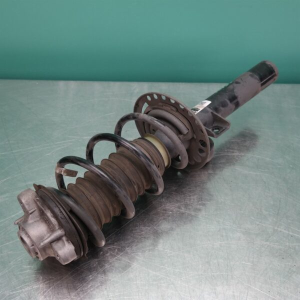 RIGHT FRONT STRUT G01 (788) *31-10*