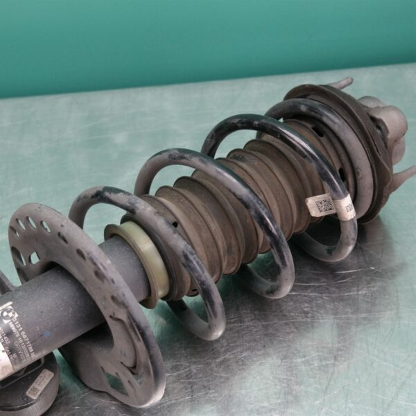 RIGHT FRONT STRUT G01 (788) *31-10*