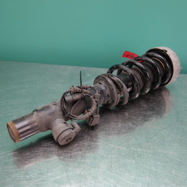 LEFT FRONT STRUT F16 (083) *31-10*