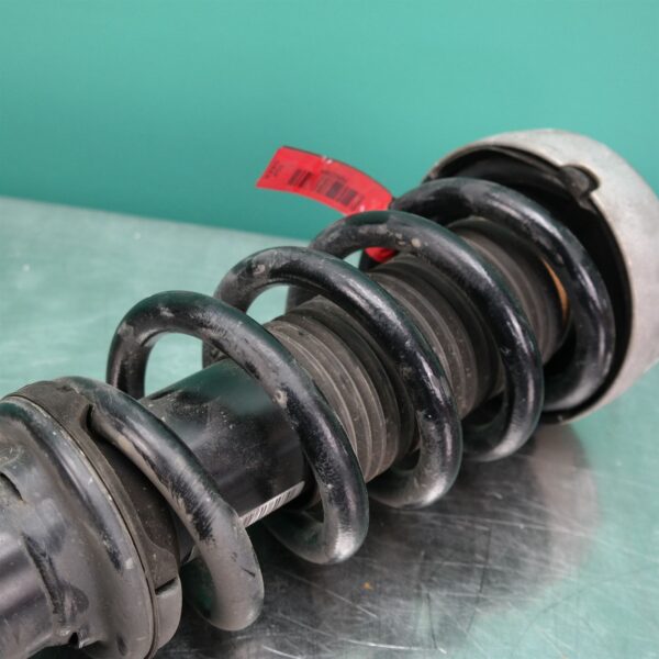 LEFT FRONT STRUT F16 (083) *31-10*