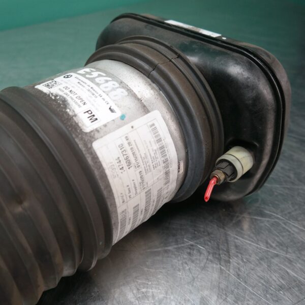 LEFT REAR STRUT G05 (047) *33-45*