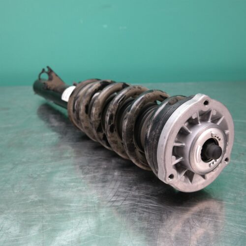 LEFT FRONT STRUT G05 (439) *31-10*