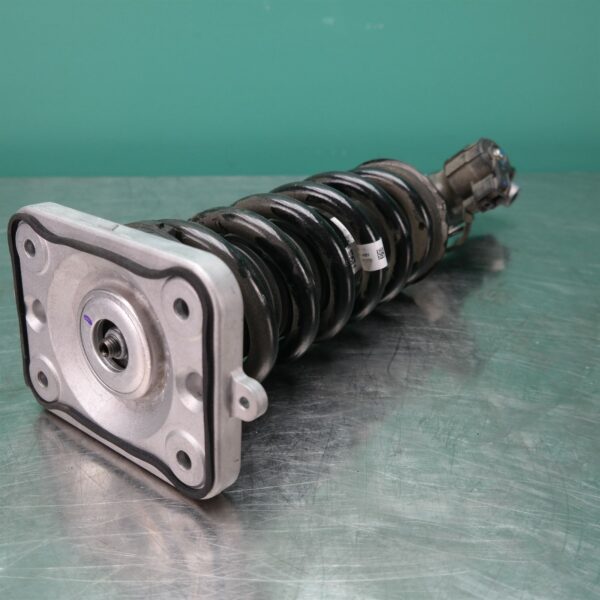 LEFT REAR STRUT G05 (441) *33-45*