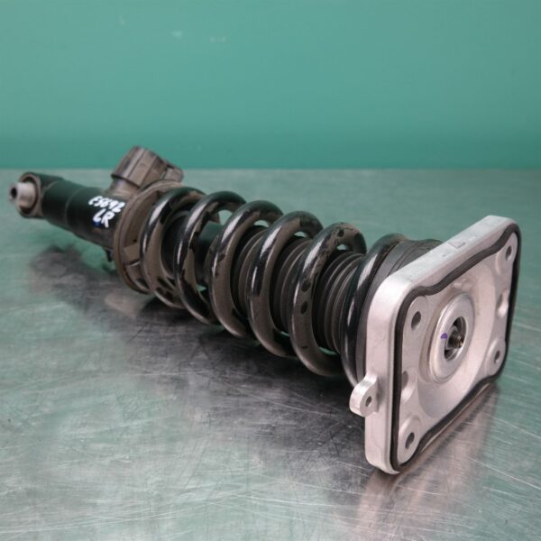 LEFT REAR STRUT G05 (441) *33-45*