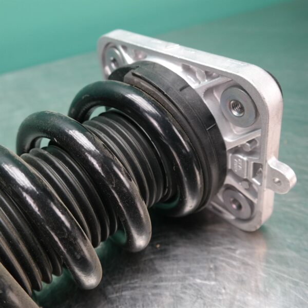 LEFT REAR STRUT G05 (441) *33-45*