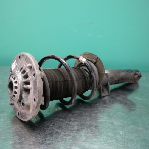 RIGHT FRONT STRUT F F22 (254) *31-10*