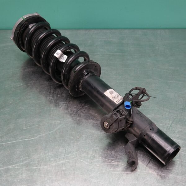 LEFT FRONT STRUT G05 (019) *31-10*