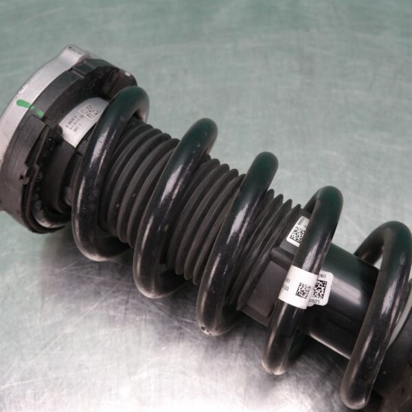 LEFT FRONT STRUT G05 (019) *31-10*