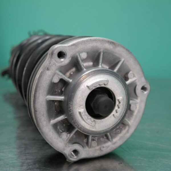 LEFT FRONT STRUT G05 (019) *31-10*