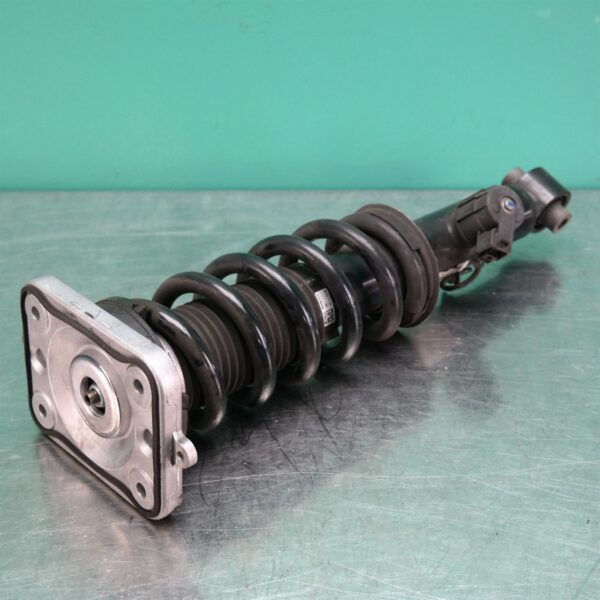 LEFT REAR STRUT G05 (023) *33-45*