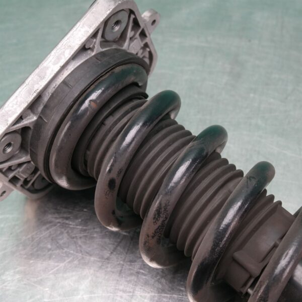 LEFT REAR STRUT G05 (023) *33-45*