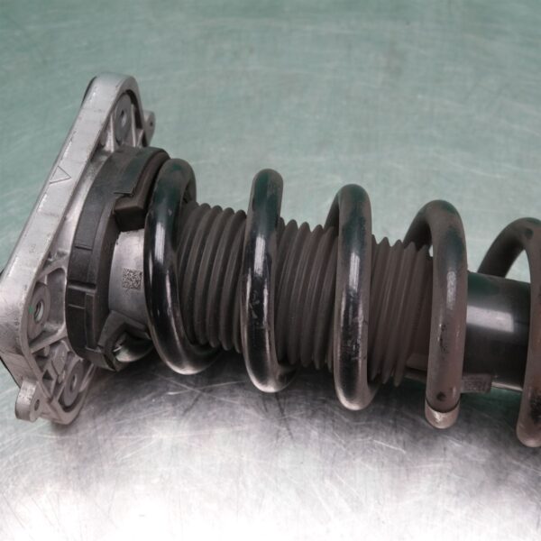 RIGHT REAR STRUT G05 (024) *33-45*