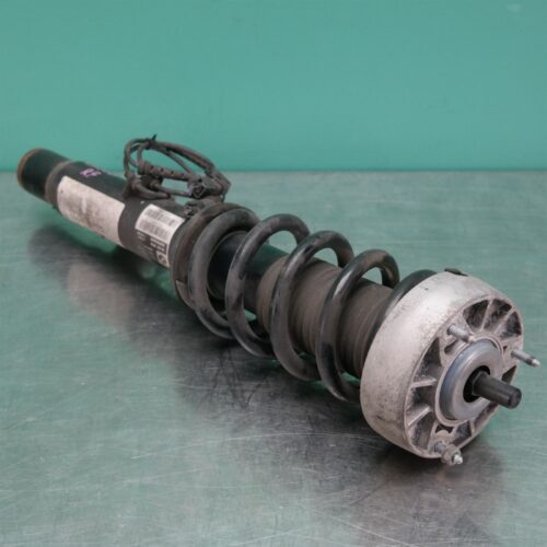 RIGHT FRONT STRUT F16 (084) *31-10*